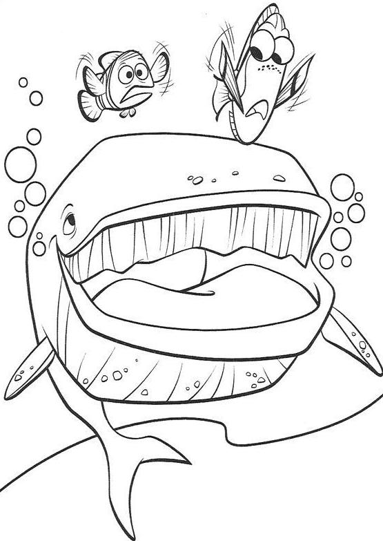 coloriage nemo et son papa poursuivit par une baleine